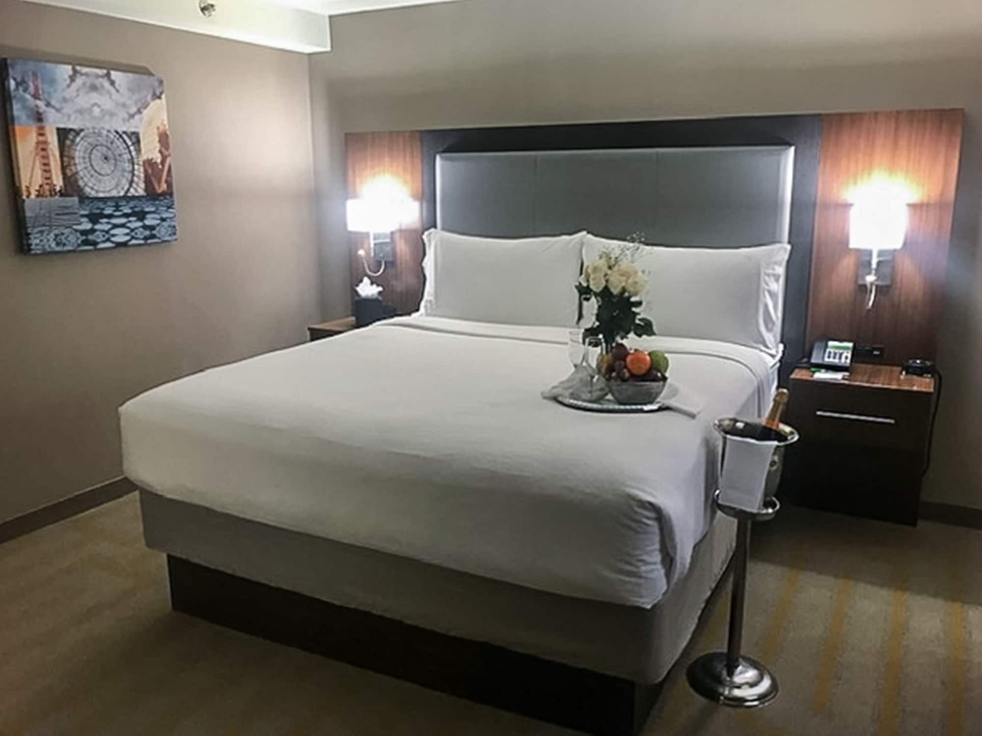 Holiday Inn Chicago Sw-Countryside Confctr By Ihg Экстерьер фото